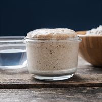 Crafty Cultures Wholewheat Sourdough Starter Culture